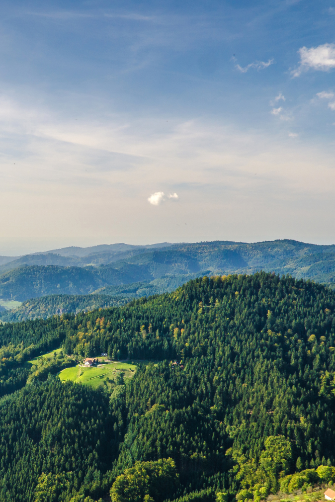 Immobilien Objektmanagement freiburg