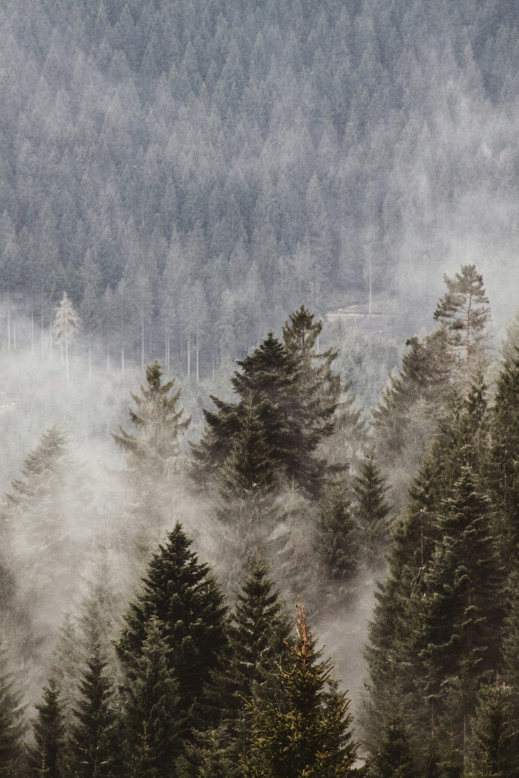 Immobilien Objektmanagement freiburg